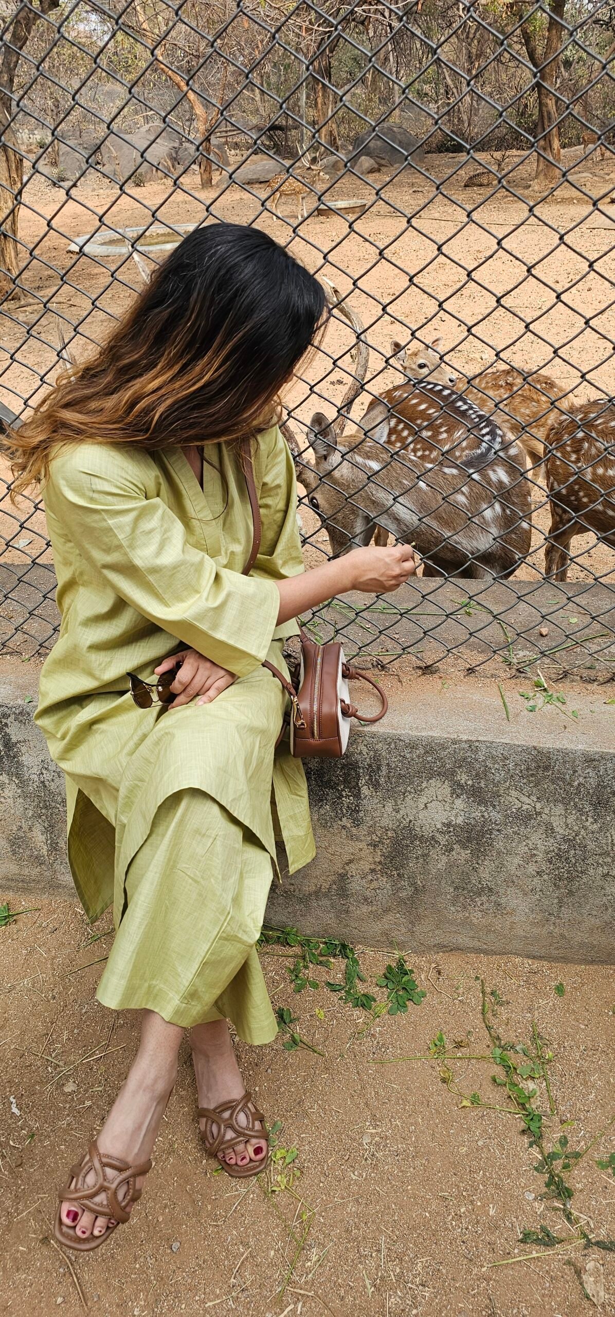 Sage Kurta Set